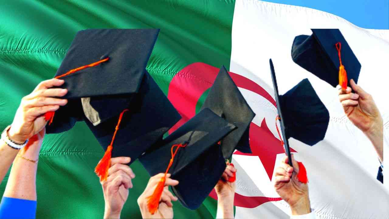 Mobilité des étudiants en Algérie : 114 universités ouvrent leurs portes à une éducation polyvalente