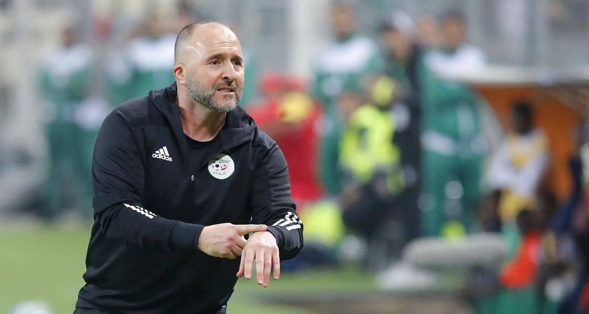 CAN 2024 : l'énorme pression de la CAF sur Djamel Belmadi et Walid Sadi Djamel Belmadi