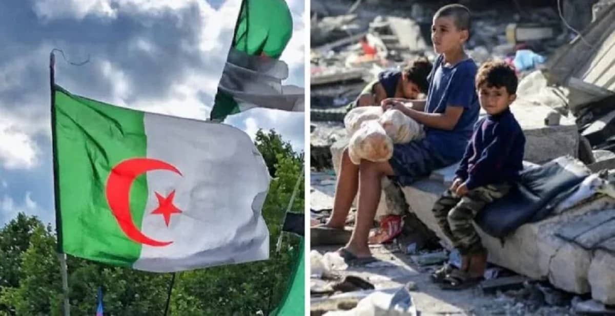 Les premiers enfants palestiniens évacués arrivent en Algérie