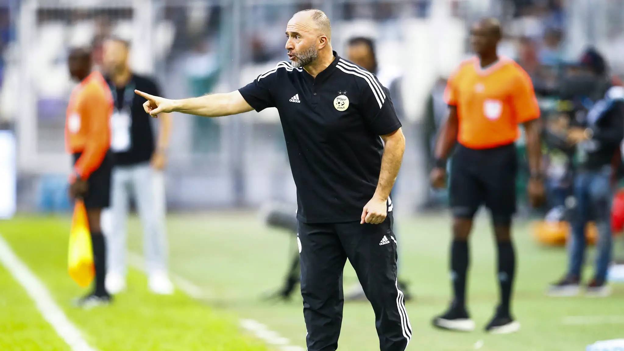 Le Match amical Togo-Algérie en péril ! Djamel Belmadi et la FAF dans l'Œil du cyclone