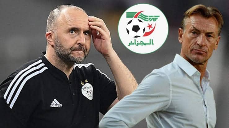 La condition de Belmadi pour résilier son contrat avec la FAF révélée Djamel Belmadi