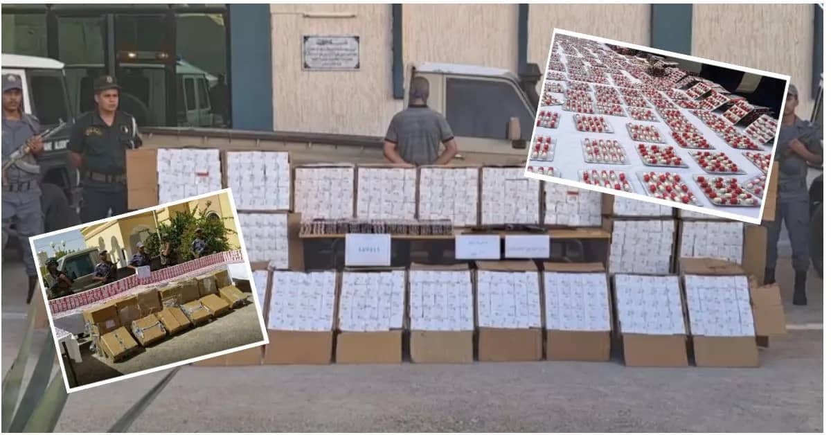 El Oued : 1 million de comprimés hallucinogènes saisis