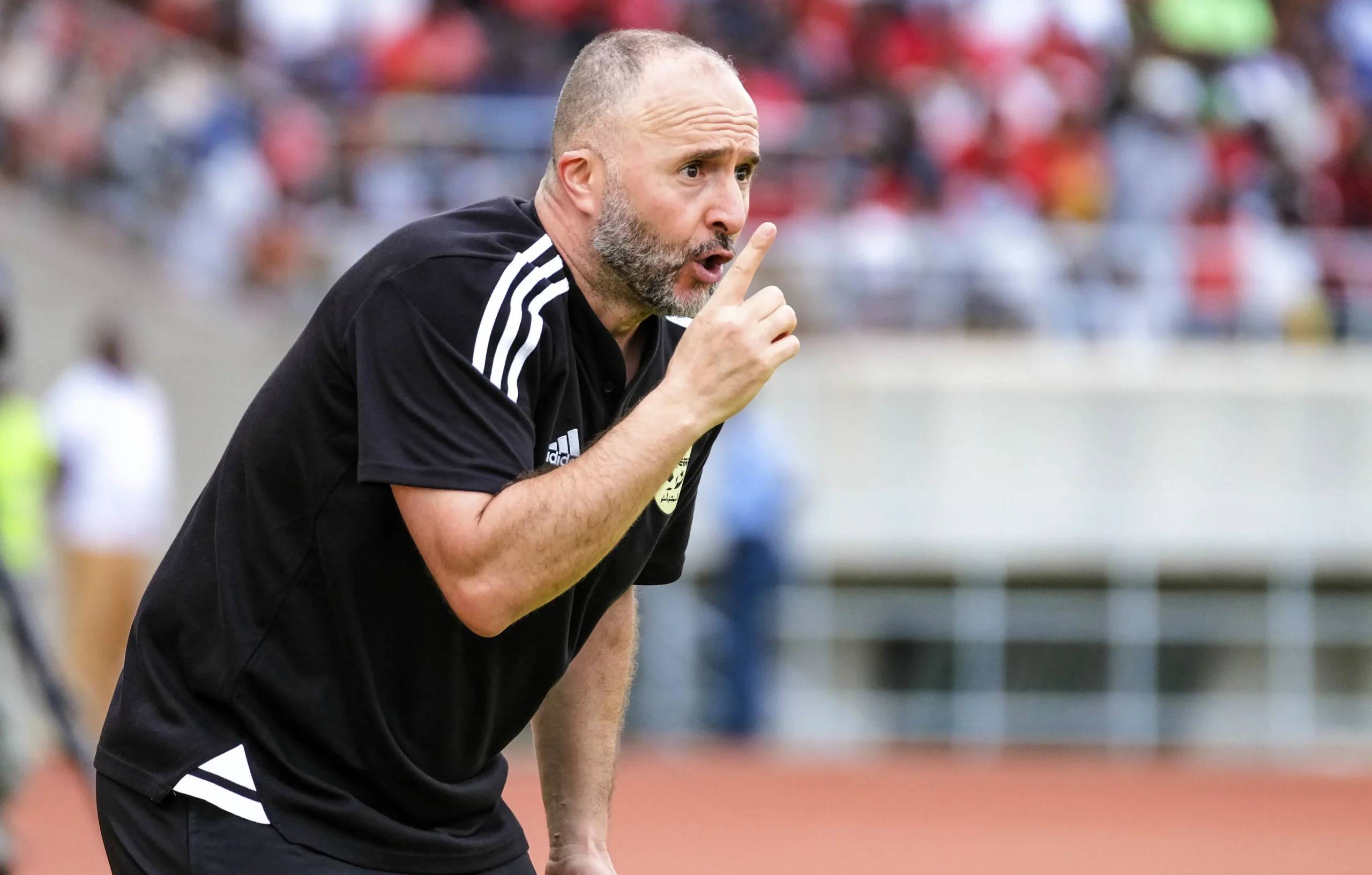 CAN 2024 : Djamel Belmadi, Gasset,  Hughton... Tour d'Horizon des départs précoces