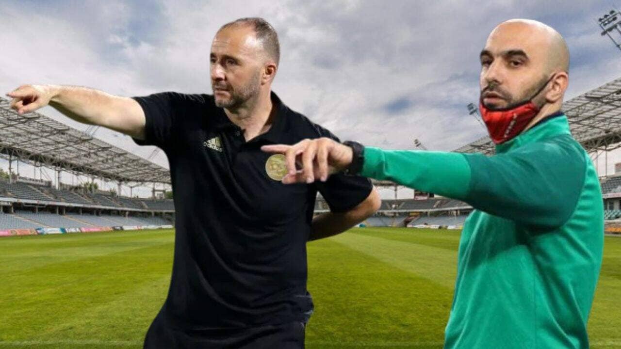 Djamel Belmadi salue l'Exploit de Walid Regragui : Un modèle pour les Anciens Joueurs devenus Entraîneurs en Afrique Djamel Belmadi salue l'Exploit de Walid Regragui : Un modèle pour les Anciens Joueurs devenus Entraîneurs en Afrique