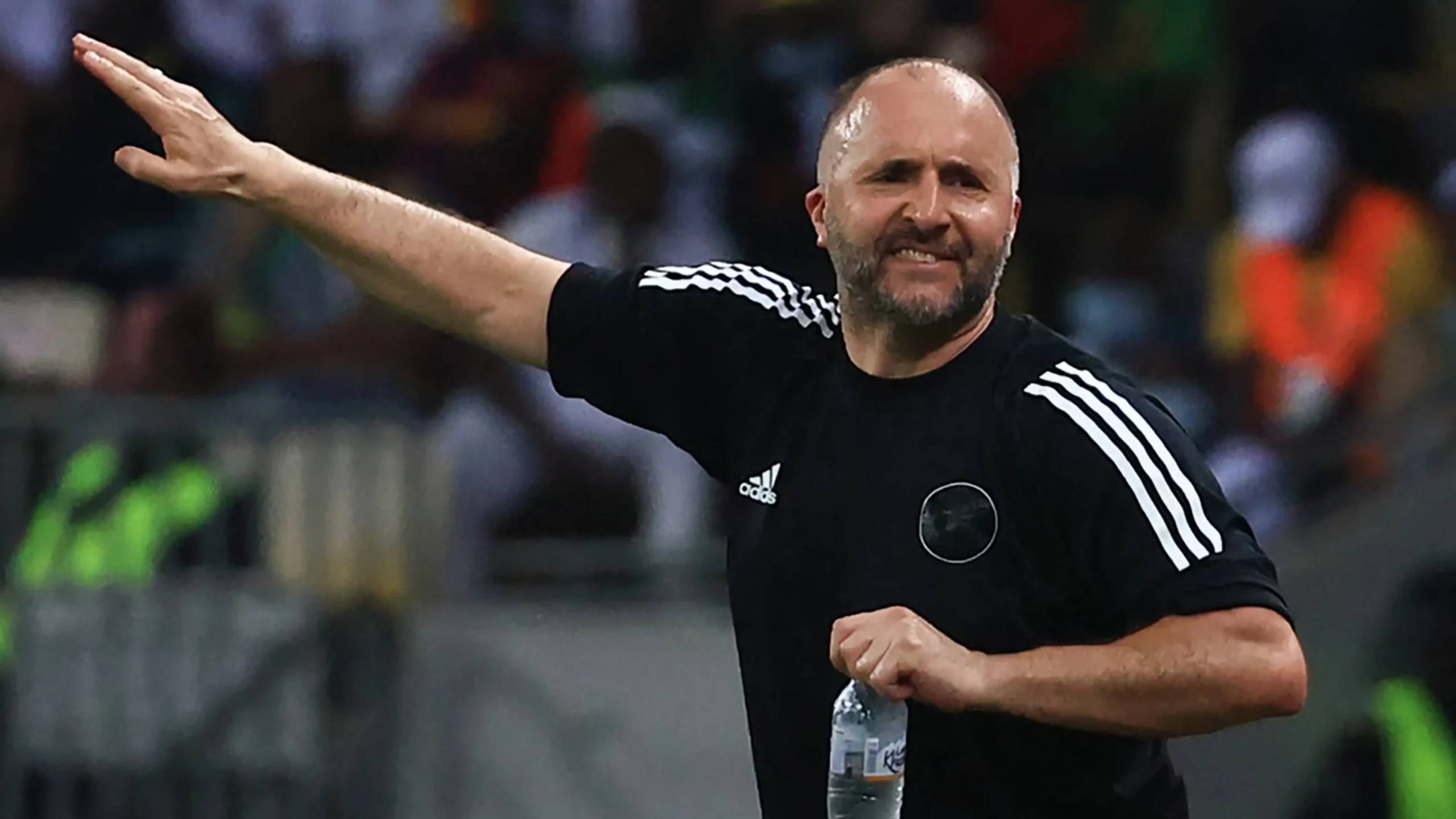 Et ça repart ! Djamel Belmadi se fait courtiser par cette équipe africaine Djamel Belmadi se fait courtiser par cette équipe africaine