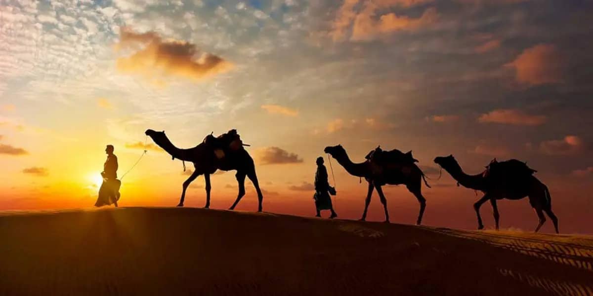 Nouvel chinois (2024): le Sahara algérien exalté à la face du monde Nouvel chinois- le Sahara algérien exalté à la face du monde