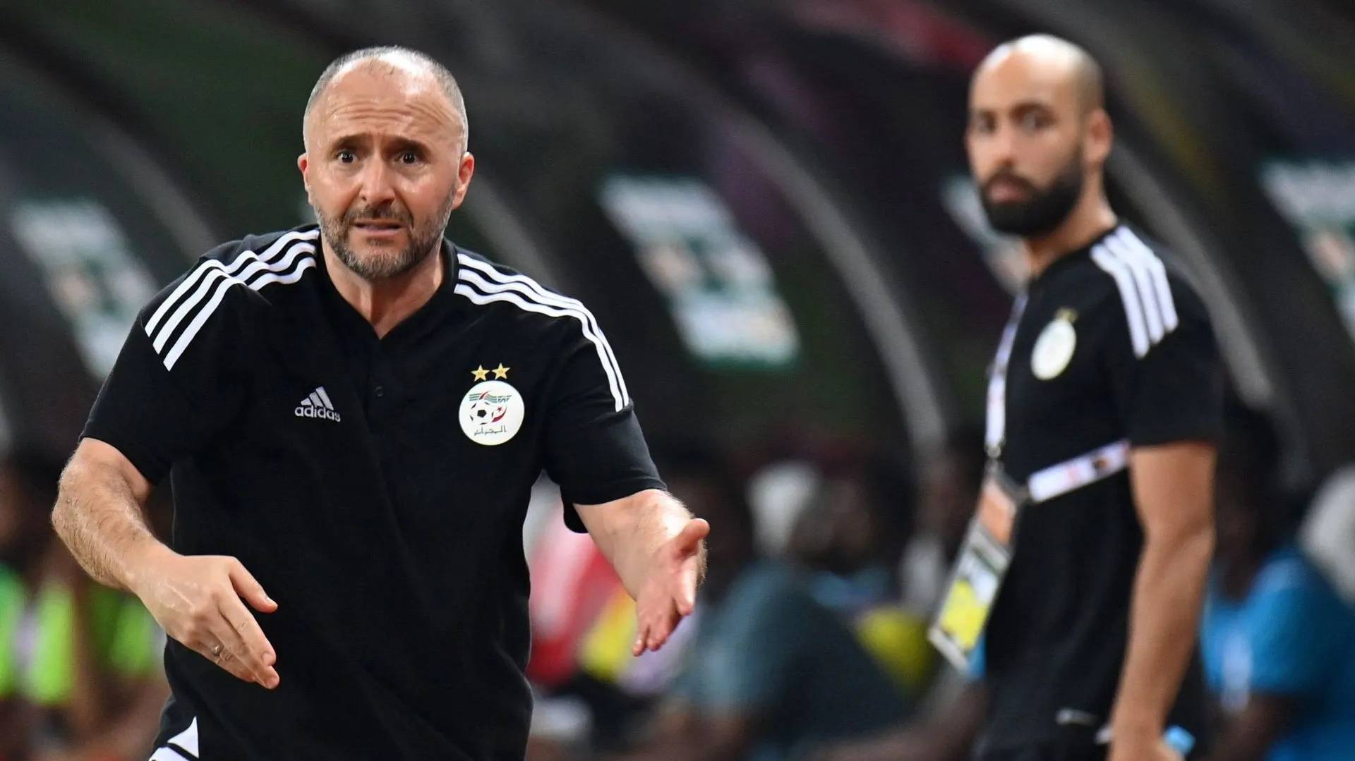 Possible retour de Djamel Belmadi