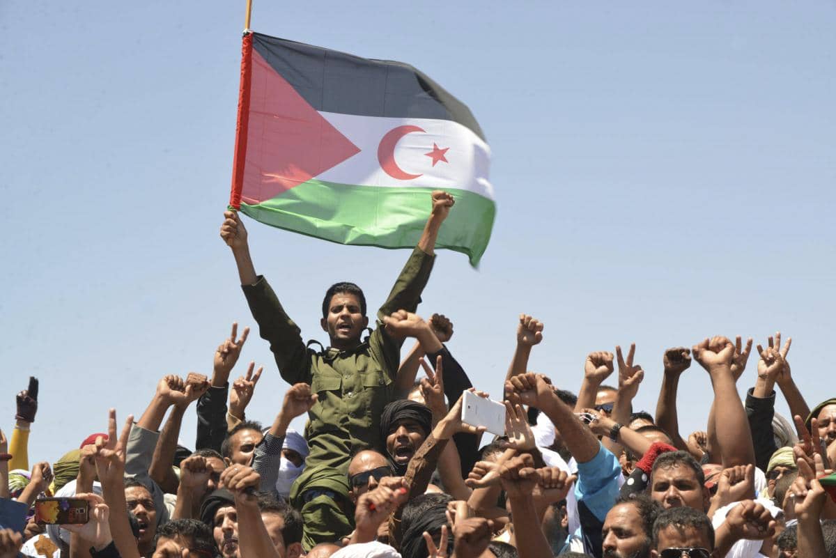 L'Algérie et le Polisario se Réunissent à Alger : Renforcement des Liens Diplomatiques dans la Quête d'une Solution au Conflit du Sahara Occidental L'Algérie et le Polisario se Réunissent à Alger : Renforcement des Liens Diplomatiques dans la Quête d'une Solution au Conflit du Sahara Occidental