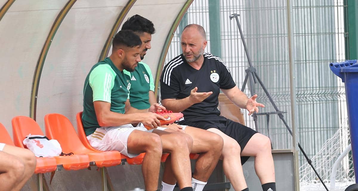 Djamel Belmadi vs Vladimir Petkovic - Quel Leader pour l'Algérie ? Une volonté de faire mieux au Maroc