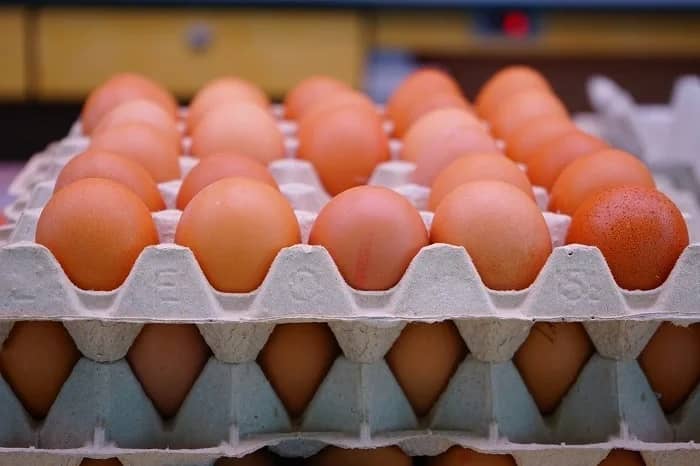 Baisse spectaculaire des prix des œufs en Algérie : 1000 DA pour trois plateaux ! Baisse spectaculaire des prix des œufs en Algérie : 1000 DA pour trois plateaux !