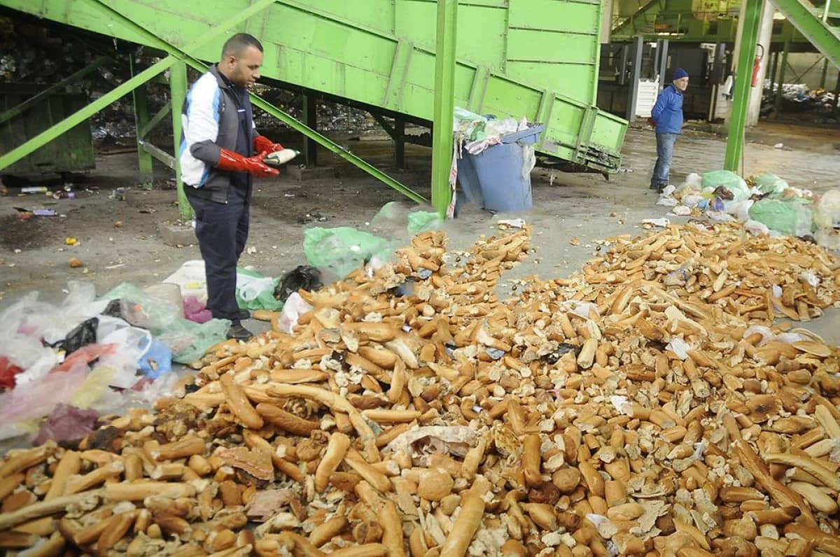 Algérie : 900 millions de baguettes de pain jetées par an, gaspillage alimentaire