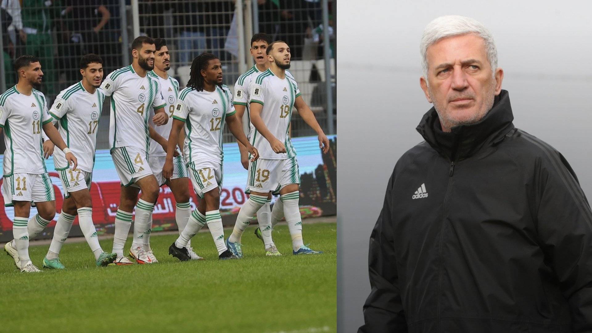 Equipe d’Algérie : Vladimir Petkovic reçoit de très bonne nouvelles Equipe d’Algérie : Vladimir Petkovic reçoit de très bonne nouvelles