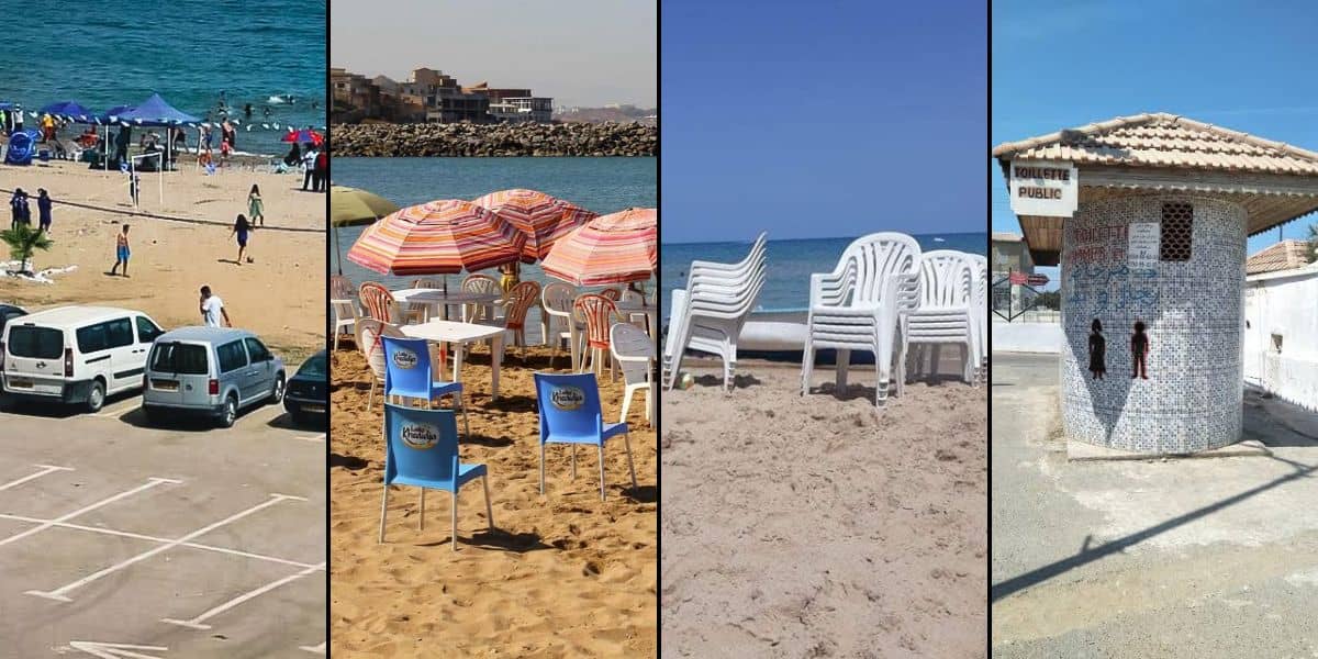 Algérie : 61 plages ouvertes à la baignade pour une saison estivale réussie