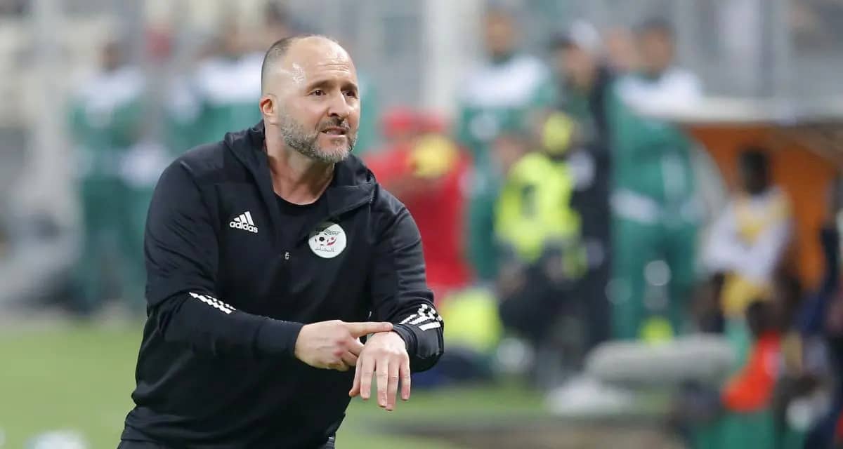 Djamel Belmadi : retour imminent sur la scène sportive, la confidence d'un proche en exclusivité