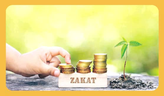 Nouvel An Musulman 1446 : le montant du Nissab de la Zakat al-Maal fixé par la Grande Mosquée de Paris 