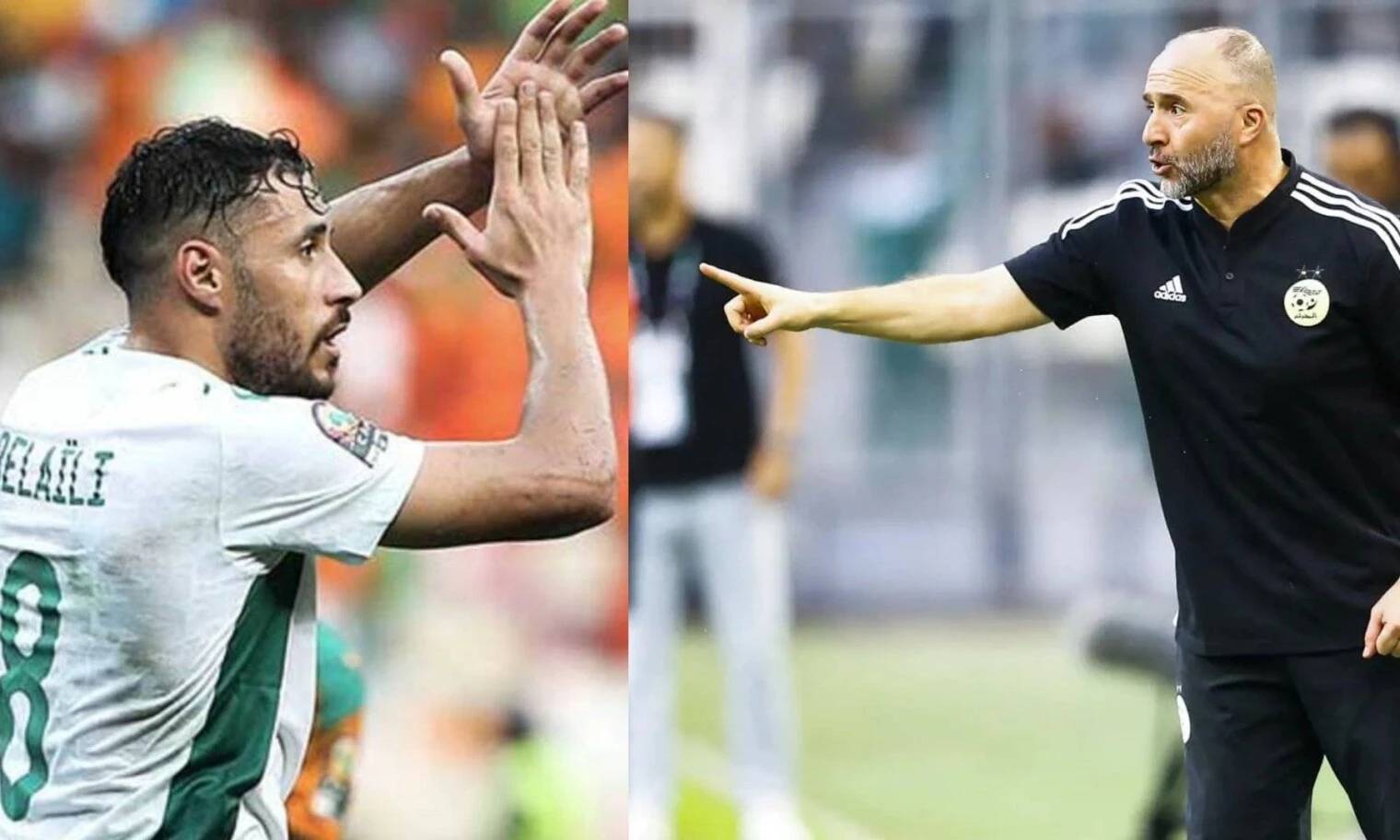 Youcef Belaili foudroie Belmadi, suite à cette remarque