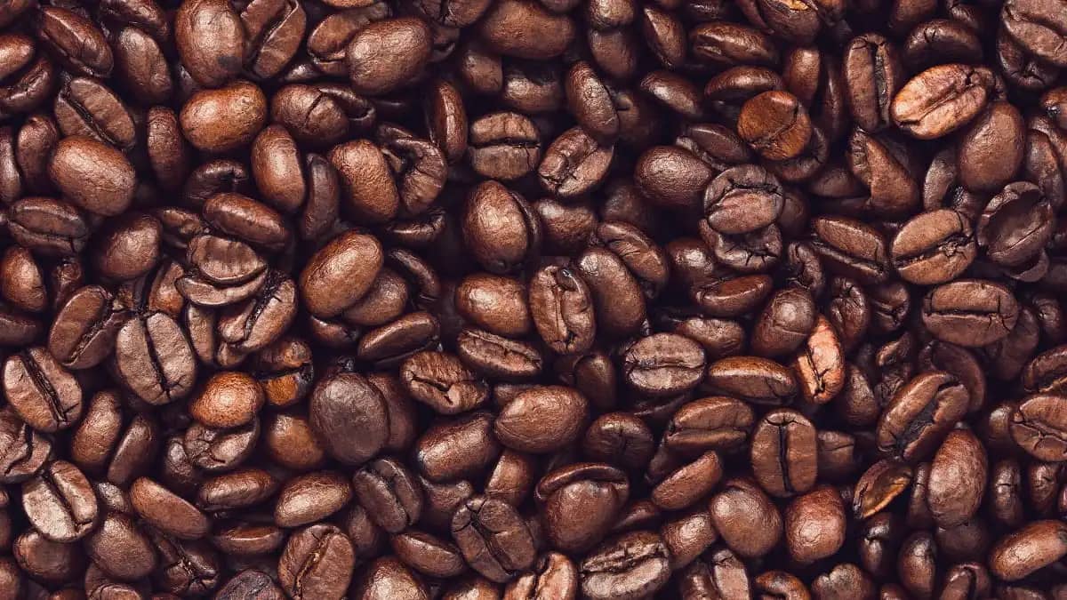 Nouveaux tarifs du café en Algérie : Tout ce que vous ignorez...