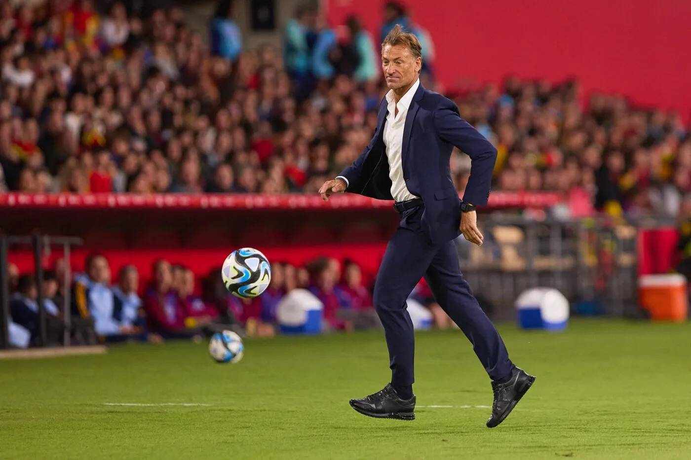 Hervé Renard est clair la-dessus! Pas d'Algérie. L'entraineur français désire mieux Hervé Renard clarifie son avenir et écarte la JSK