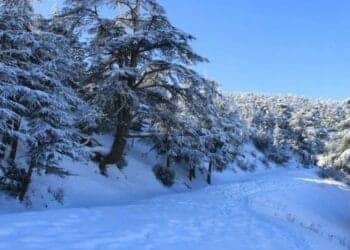 L’Algérie sous alerte météo ce week-end