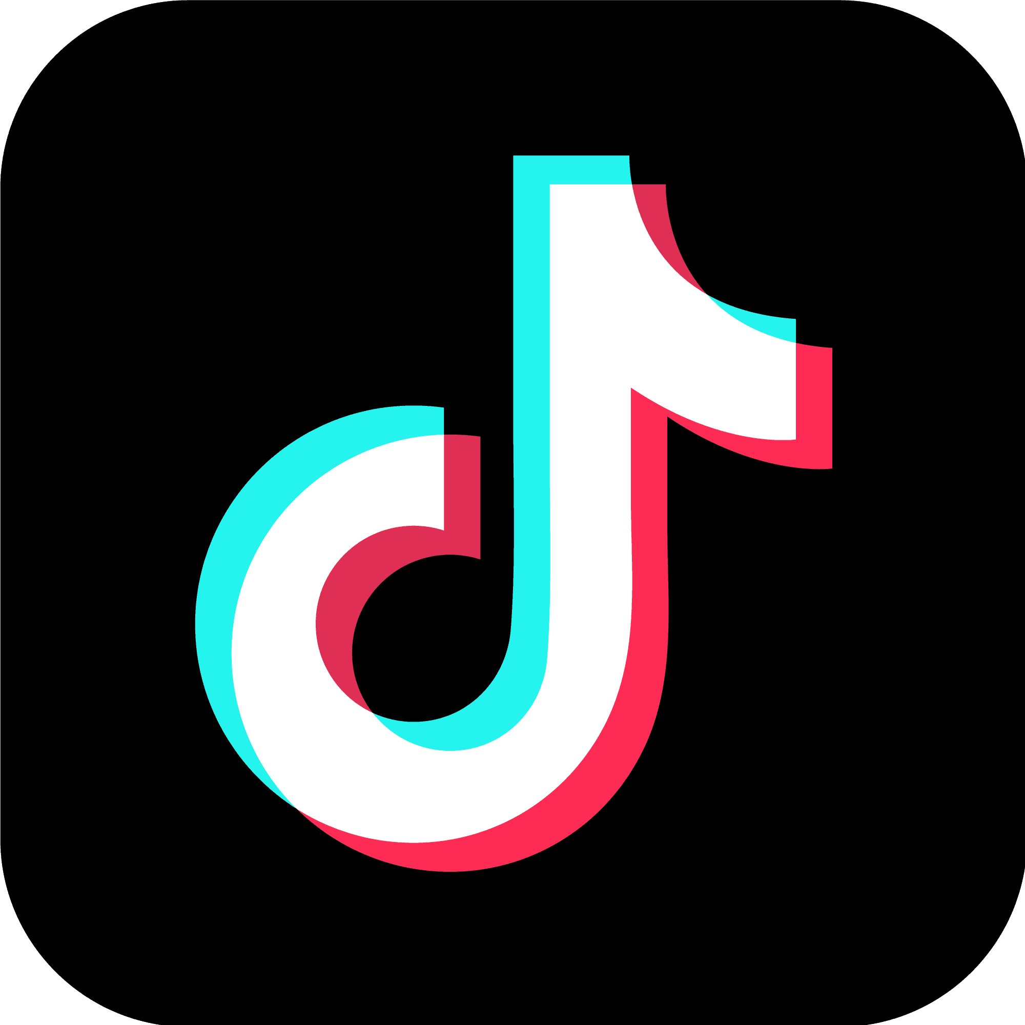 TikTok interdit pour un an dès janvier 2025 dans ce pays !