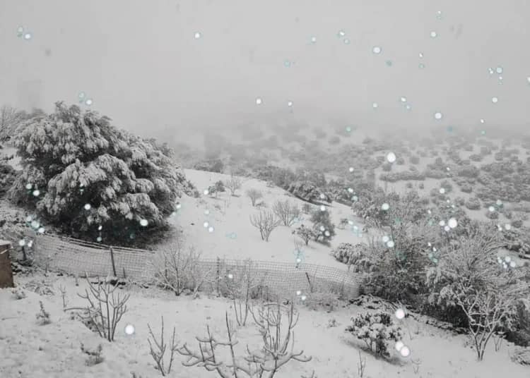 Météo Algérie : Intempéries et chutes de neige, à quoi s'attendre ce 07 janvier 2025