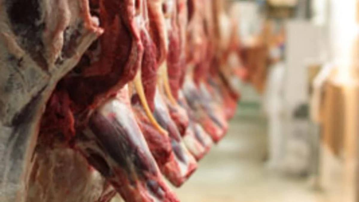 Préparatifs du Ramadan 2025 : 28 000 tonnes de viande ! La grande annonce pour les Algériens