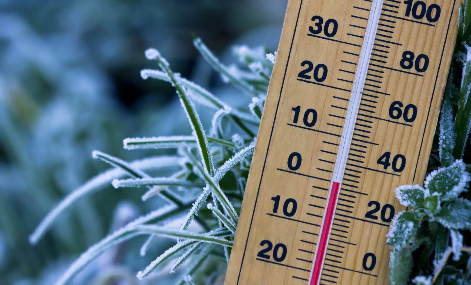 Office National de la Météorologie