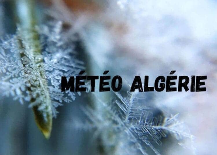 Météo Algérie : Alertes et urgences ce 14 janvier 2025 !