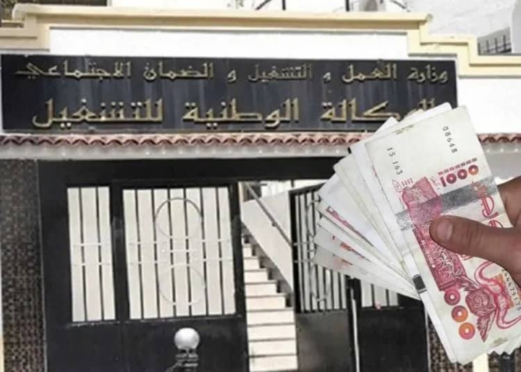 Allocation chômage en Algérie : une décision choc qui va tout changer ! Allocation chômage en Algérie : une décision choc qui va tout changer !