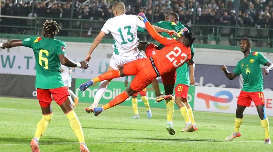 Algerie-Cameroun