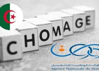 Note Cruciale aux Bénéficiaires d&rsquo;Allocations Chômage en Algérie