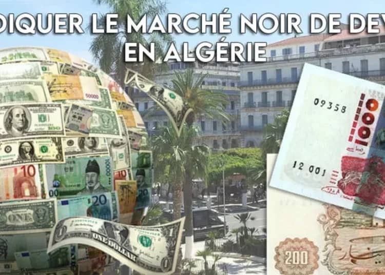Algérie : 5 solutions clés pour éliminer le marché noir des devises Algérie : 5 solutions clés pour éliminer le marché noir des devises