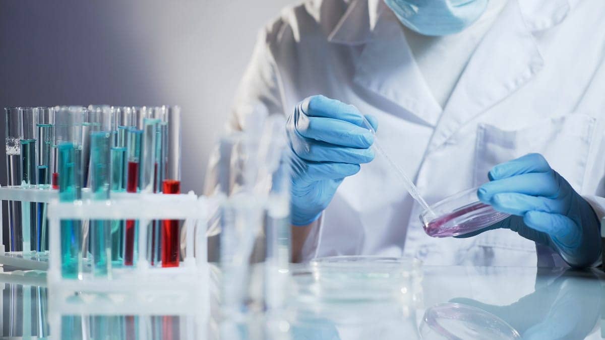 Mystérieuses piqûres en France : menace d’attaque biologique inquiétante ? analyses toxicologiques