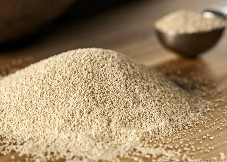 Algérie : une nouvelle usine de levure pour remplacer 100 millions $ d’importations Algérie : une nouvelle usine de levure pour remplacer 100 millions $ d’importations