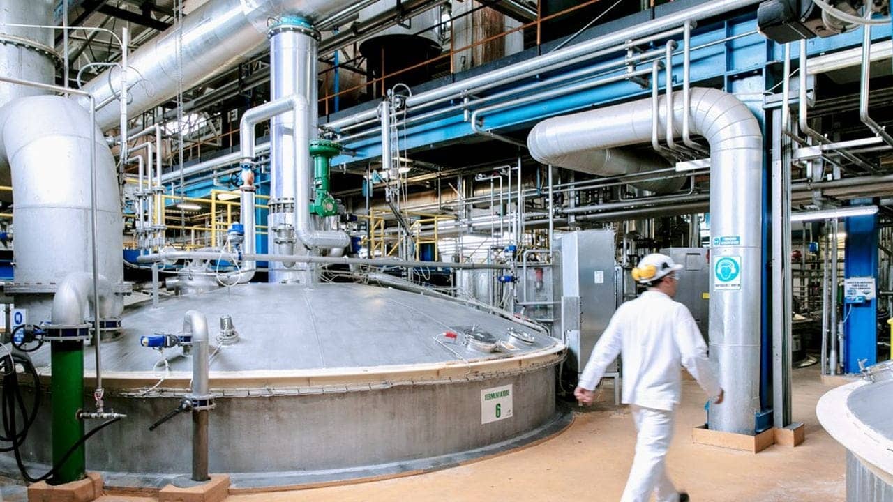 Algérie : une nouvelle usine de levure pour remplacer 100 millions $ d’importations Algérie : une nouvelle usine de levure pour remplacer 100 millions $ d’importations