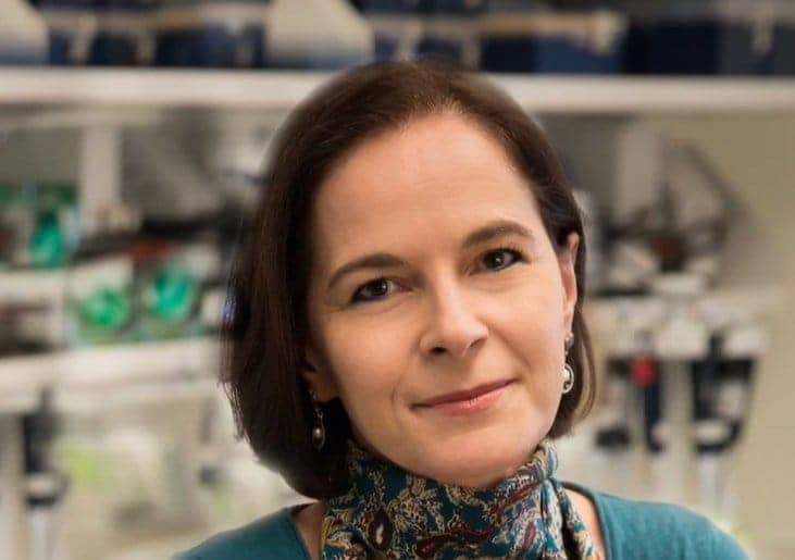 Yasmine Belkaid élue à l’Académie des sciences pour ses avancées en immunologie Yasmine Belkaid élue à l’Académie des sciences pour ses avancées en immunologie
