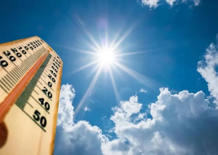 canicule
