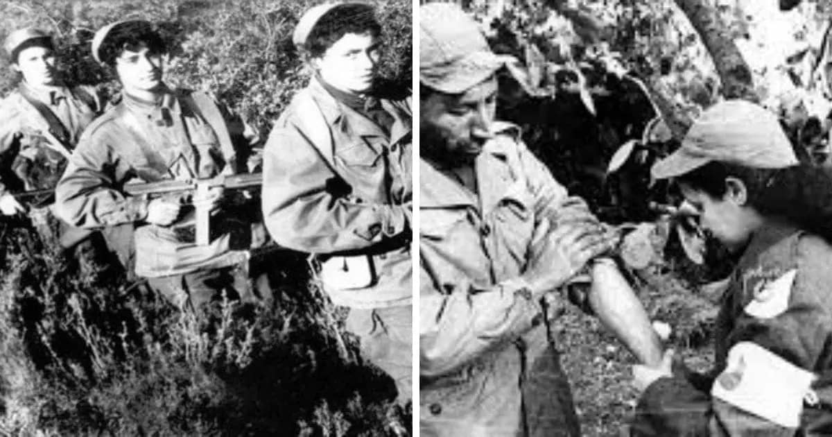 5 juillet en Algérie : hommage vibrant aux femmes de l’indépendance algérienne