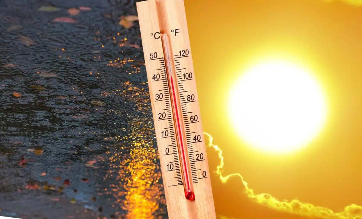 Orages en vue ce week-end en Algérie : le point météo