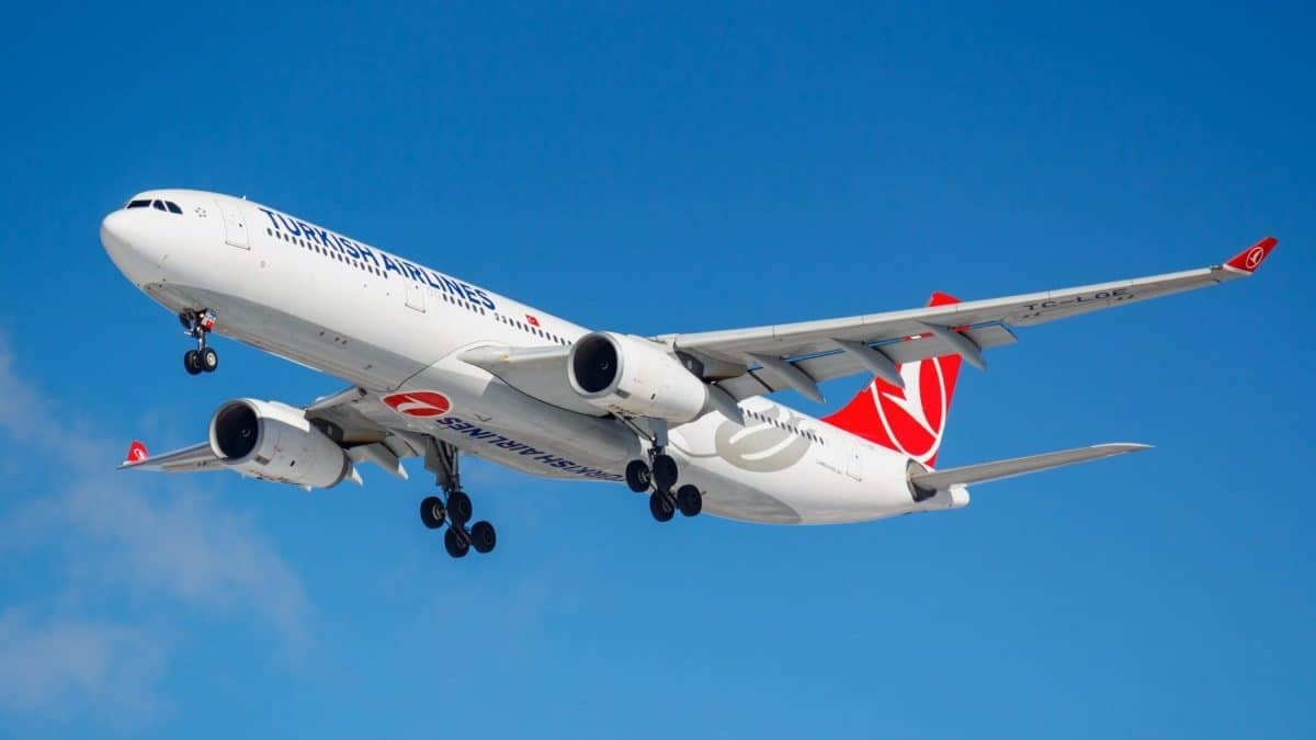 Offre spéciale été : Turkish Airlines fait décoller les bacheliers algériens à prix réduit Offre spéciale été : Turkish Airlines fait décoller les bacheliers algériens à prix réduit