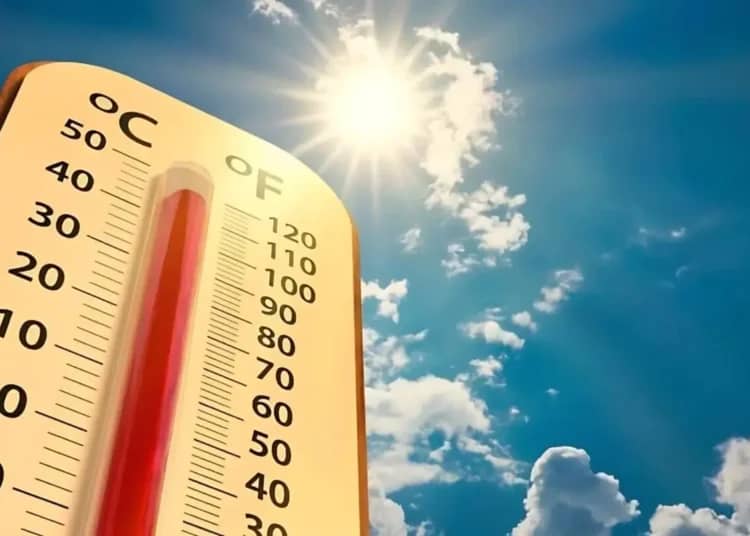 Canicule en Algérie : jusqu’à 46 °C attendus ce mardi