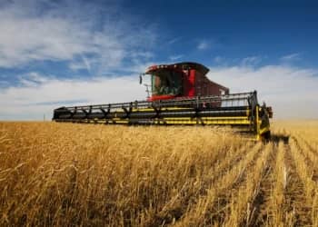 Algérie : pourquoi le grand nettoyage du foncier agricole pourrait tout changer