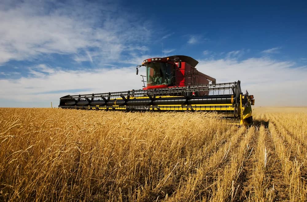 Réforme Agricole en Algérie : Conditionnalité des Subventions pour une Production Durable Nouvelle stratégie agricole en Algérie : vers un modèle basé sur la conditionnalité pour une agriculture durable et performante
