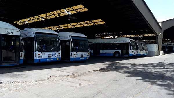 Nouvelle ligne de bus à Alger : l’ETUSA améliore le transport urbain dans la capitale