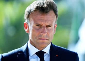 TCF : découvrez pourquoi l’Algérie se distingue mondialement