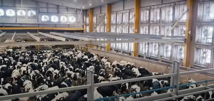 Baladna investit 500 millions de dollars pour lancer une ferme géante en Algérie Baladna investit 500 millions de dollars pour lancer une ferme géante en Algérie