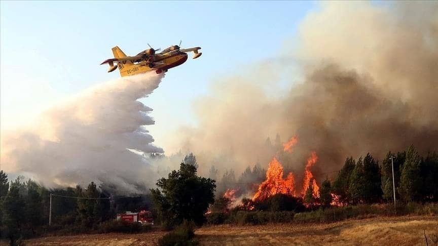 Suspect arrêté en Algérie après un incendie meurtrier à Nice : les derniers rebondissements de l'enquête