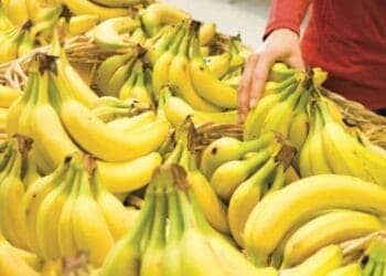 Algérie : le gouvernement agit face à la flambée des prix de trois produits essentiels