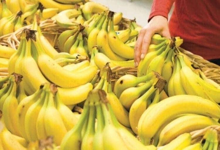 Algérie : le gouvernement agit face à la flambée des prix de trois produits essentiels Algérie : le gouvernement agit face à la flambée des prix de trois produits essentiels