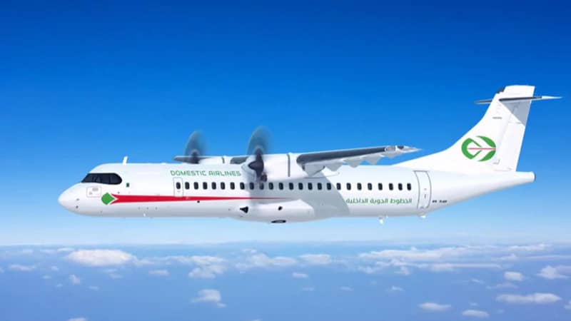 Domestic Airlines